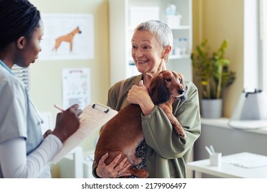 Portrait Of Smiling Senior Woman With Dog Dachshund Visiting Veterinarian And Talking To Vet Assistant