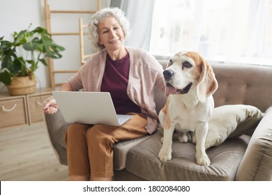 Portrait Of Smiling Senior Woman Using Laptop While Sitting With Dog On Sofa In Cozy Apartment And Smiling At Camera, Copy Space