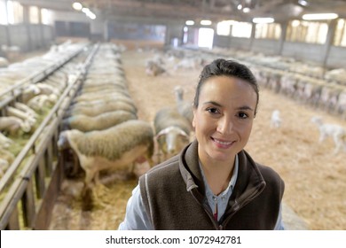 Portrait of smiling sheep breeder in barn