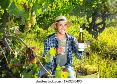 Portrait of smiling successful winemaker offering glass of white wine for testing in vineyard in sunny day - Powered by Shutterstock