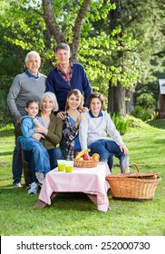 Portrait Of Smiling Three Generation Family Enjoying Picnic In Park