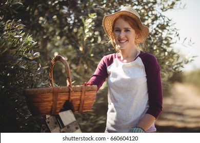 Portrait of smiling young woman with wicker basket standing at olive farm - Powered by Shutterstock