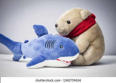 shark teddy