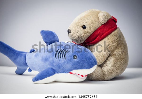 teddy bear shark