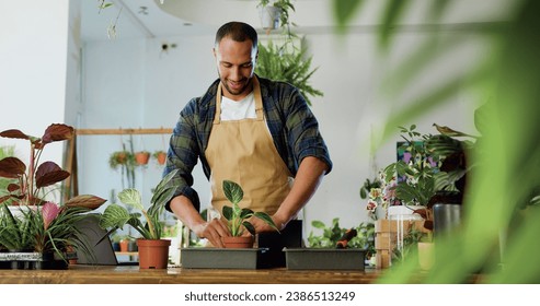 Portrait of successful African male florist replanting flowers in florist shop using soil wearing apron. Man florist puts plants in desk at flower store. Floristry business and people concept. - Powered by Shutterstock