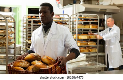 Portrait of successful baker during daily work in bakeshop. High quality photo
