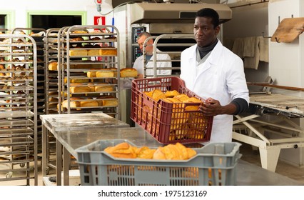 Portrait of successful baker during daily work in bakeshop. High quality photo