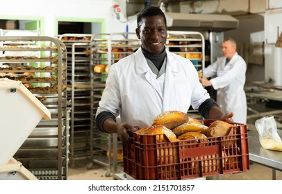 Portrait of successful baker during daily work in bakeshop. High quality photo
