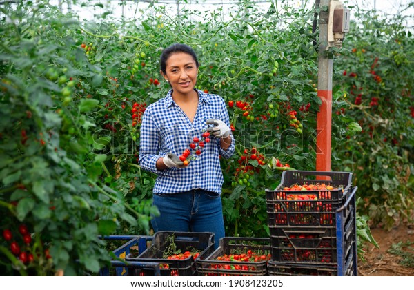 Portrait Successful Hispanic Female Farmer Engaged Stock Photo ...