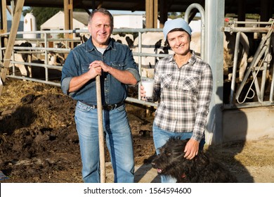 Portrait Of Successful Senior Man And Woman Owners Of Dairy Farm At Cowshed