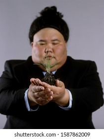 Portrait Of A Sumo Wrestler In A Business Suit Holding Out A Tiny Plant