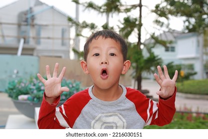 Portrait Of Surprised Asian Little Boy In The Garden. Kid Looking At Camera And Hands Open Wide.