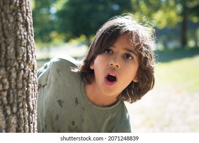 Portrait of surprised little boy in park. Dark-haired boy peeking out from tree, looking at camera. Family, love, childhood concept