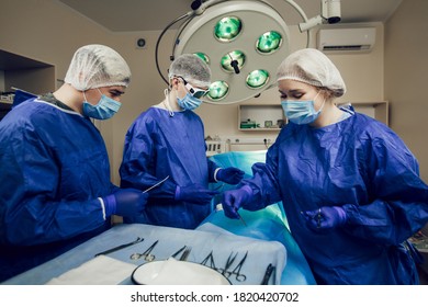 Doctors Nurses Brainstorm Power Assisted Surgery Stock Photo 226589236 ...