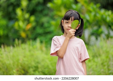 Portrait Thai Asian Kid Girl Aged Stock Photo 2206228007 | Shutterstock