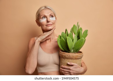 Portrait Of Thoughtful Middle Aged European Woman Touches Jawline Gently Applies Collagen Patches Under Eyes Holds Potted Cactus Wears Top Isolated Over Brown Background. Women Age Skin Care Concept