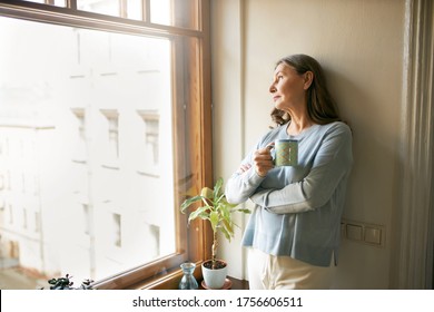 500+ Looking Out Window Pictures [HD]