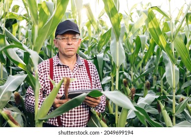 Portrait of the thoughtful senior male farmer with digital tablet computer looks at camera. Close up of the Caucasian good looking man smiling to the camera - Shutterstock ID 2049699194
