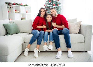 Portrait of three nice attractive lovely idyllic careful cheerful cheery affectionate glad family sitting on divan celebrating newyear eve noel winter vacation light white interior living-room - Shutterstock ID 1536689708