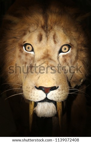 portrait tiger sabertooth