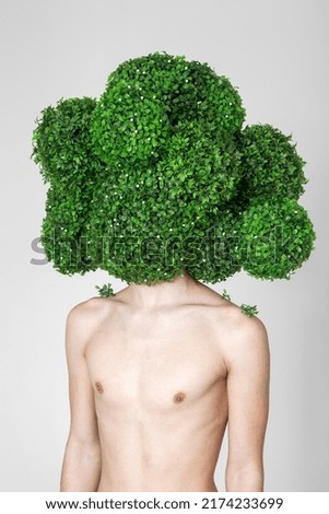 Similar – Image, Stock Photo shingled hair Plant