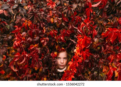 Portrait Of Tough Redhead Girl With Freckles Face Standing Inside Ivy Wall And Looking With Adult Face Expression.  