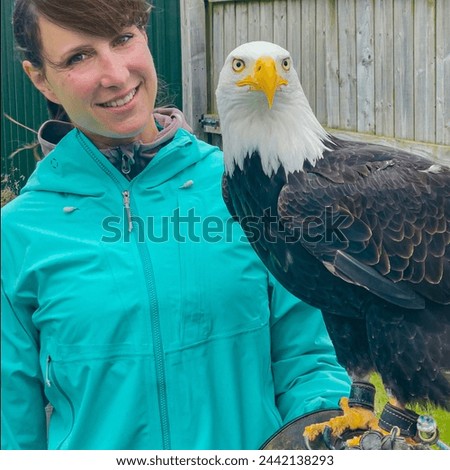 PORTRAIT: Tourist posing with a beautiful rescued bald eagle at falconry centre. Young lady has an authentic and memorable experience with a wild bird of prey while travelling and exploring Scotland.