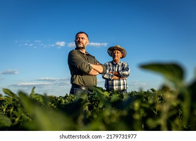 Retrato de dos agricultores en un campo que examina el cultivo de soja.