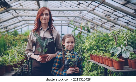 Portrait Of Two People Attractive Mother And Cute Daughter Gardeners In Aprons Standing Inside Greenhouse And Holding Pot Plants. Orcharding, People And Family Concept.