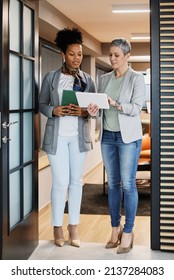 Portrait Of Two Young Business Woman Having A Meeting Or Presentation And Seminar Standing In The Office. Portrait Of A Young Business Woman Talking