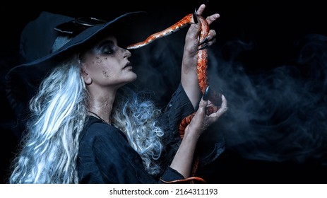 Portrait Of An Ugly Halloween Witch Talking With Her Poisonous Snake On A Black Background. Scary Tales. Witchcraft. 