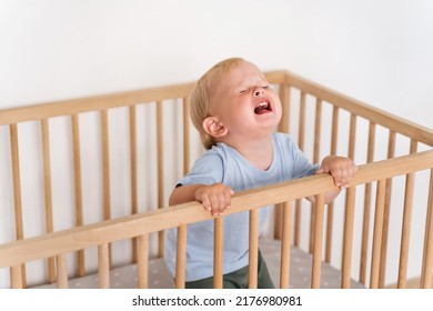 Portrait of upset sad frustrated one year old baby boy getting hysterical standing in bed asking to pick him up, seeking attention of parents crying out loud. Child temper tantrum - Shutterstock ID 2176980981