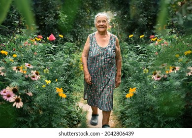 Portrait Of A Very Old Woman Walking In Her Garden  With Flowers In Summer. Grandparents Day. Hobbies For The Elderly Concept.