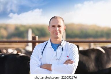 Portrait Of A Veterinarian At  Farm Cattle