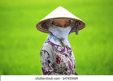 Portrait of a Vietnamese Farmer in the Rice Field