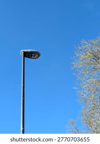 Portrait View Of Lamp Post And Tree Top With A Blue Sky Background And Copy Space