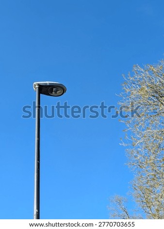 Portrait View Of Lamp Post And Tree Top With A Blue Sky Background And Copy Space