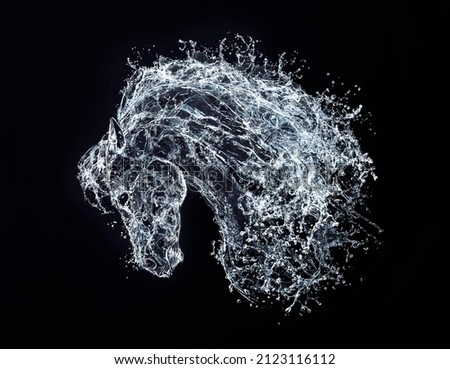 A Portrait of a Water Horse