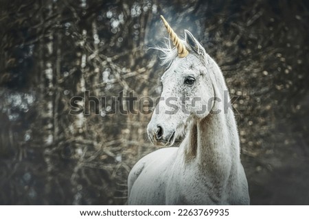 Portrait of a white arabian horse dressed as unicorn outdoors