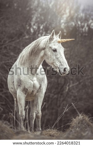 Portrait of a white arabian horse dressed as unicorn outdoors
