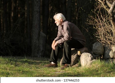 Portrait Of A Wise Old Gray-haired Man