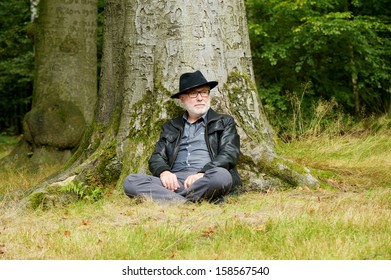Portrait of a wise old man sitting under tree in the forest