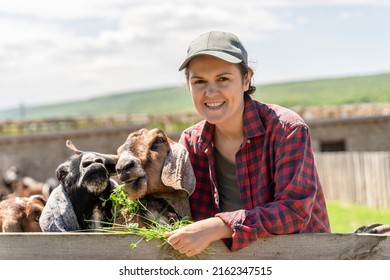 Portrait Woman Breeder of cattle of goats of the Anglo-Nubian breed. Close-up female farmer feeding goats with green grass on countryside background. Livestock farmers insurance. Healthy lifestyle - Shutterstock ID 2162347515