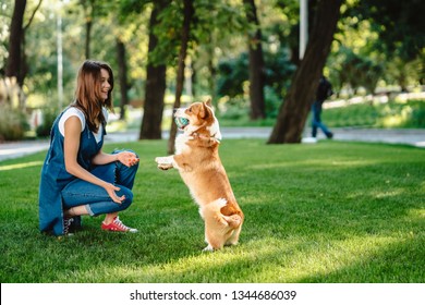 Portrait of woman with dog Welsh Corgi Pembroke in dog park - Powered by Shutterstock