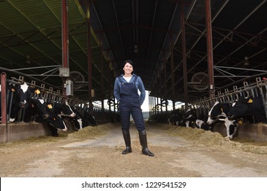 Portrait Of A Woman Farmer With Cows