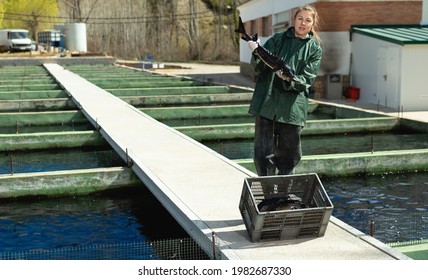 Portrait Of Woman Fish Farm Worker Demonstrating Sturgeon