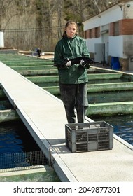 Portrait Of Woman Fish Farm Worker Demonstrating Sturgeon