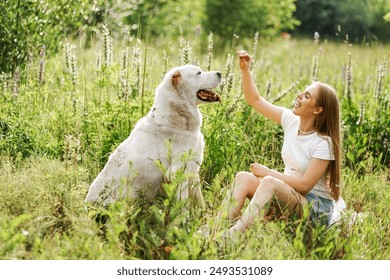 Portrait woman and her best friend  white dog in the park in summer. Alabai Central Asian Shepherd Dog itogether with girl outdoor on green grass and flowers background - Powered by Shutterstock