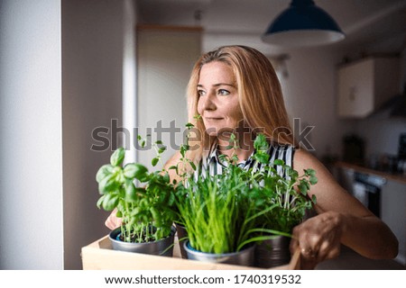 Similar – Image, Stock Photo herb box Food