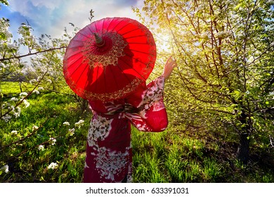 Portrait of woman in kimono with red umbrella in the garden with cherry blossom at sunrise